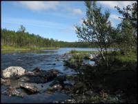 Bifogad bild: norge2010augusti133.jpg